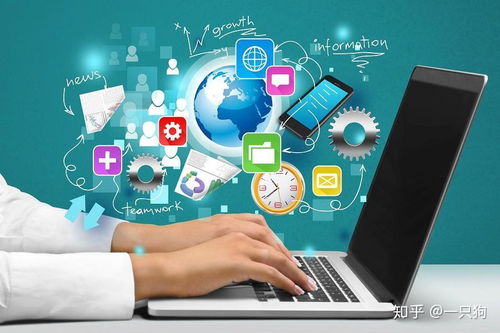 信息技術(shù)咨詢(xún) 彌合醫(yī)療行業(yè)數(shù)字化發(fā)展中的齟齬